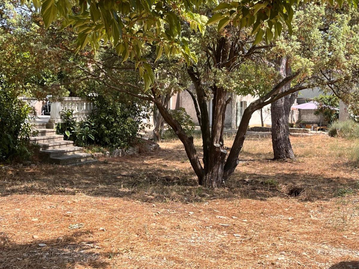 Maisonnette Independante Avec Jardin/Patio Nîmes Buitenkant foto
